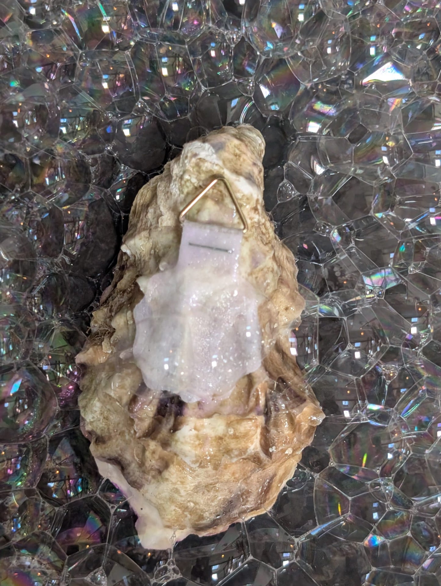 Hand painted oyster