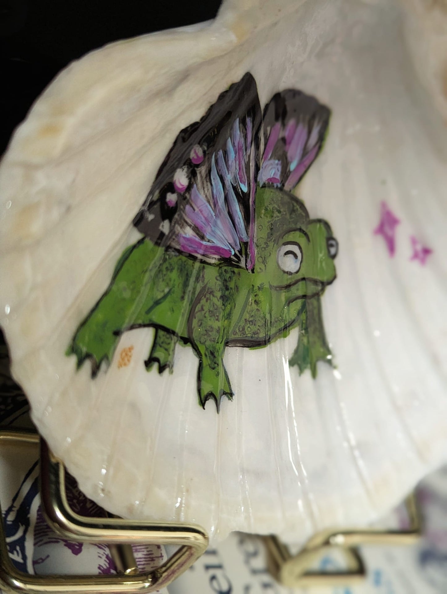 Butter frog shell