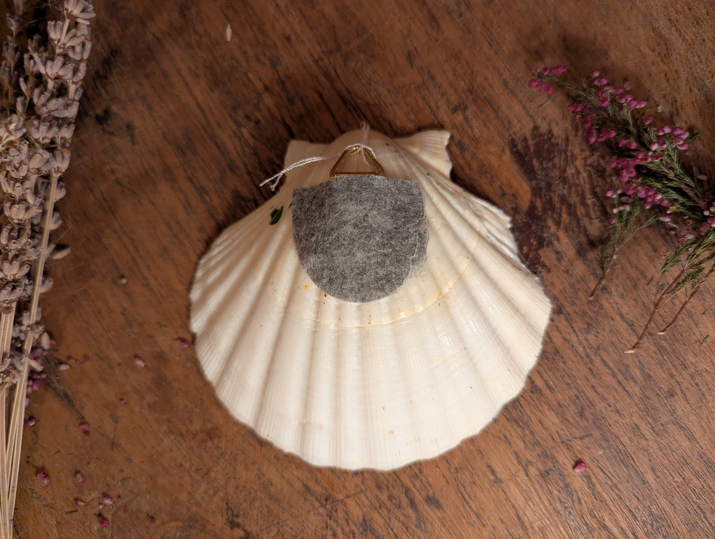 The little potions and flowers shop in the shell