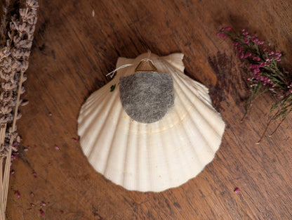 A forest lantern shell
